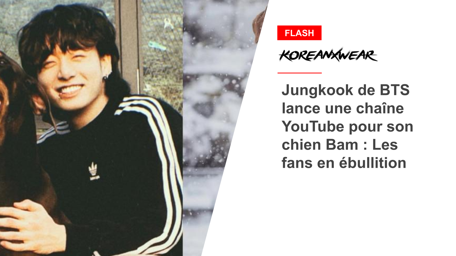 BTS's Jungkook Launches YouTube Channel for His Dog Bam: Fans Are Going Wild 